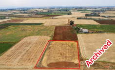 Agricultural 4127 m2 for sale in Avgorou