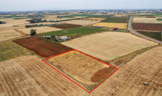Agricultural 4127 m2 for sale in Avgorou