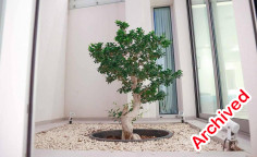 6 beds house for sale in Protaras