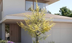 Luxury 3 bedrooms house for sale in Alampra