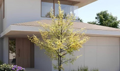 Luxury 3 bedroom house for sale in Alampra