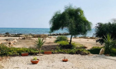 3 house for sale in Agia Thekla 3 house for sale in Agia Thekla