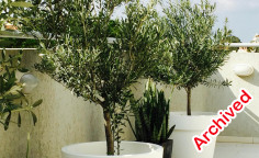 3 bed flat to rent in Strovolos
