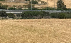Land 6894 m2 for sale in Latsia, Nicosia Land 6894 m2 for sale in Latsia, Nicosia