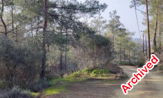 Land 2350 m2 for sale in Lythrodontas, Nicosia