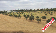 Two bed apartment to rent in Engomi
