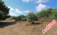 Land for sale in Protaras, Famagusta