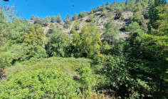 Commercial in Kakopetria