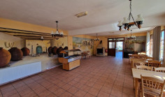 Commercial to buy in Kakopetria