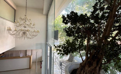 Commercial for sale in Kakopetria