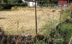 Land for sale in Galata, Nicosia