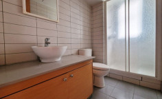 Commercial to buy in Agios Dometios