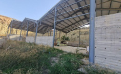 Land for sale in Pera Chorio, Nicosia