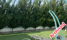 5 bedroom house for sale in Stelmek area