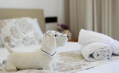 Three bedroom Kissonerga villa with sea view Three bedroom Kissonerga villa with sea view