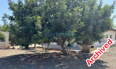 3 bedroom bungalow sea views for rent Pareklissia Limassol 