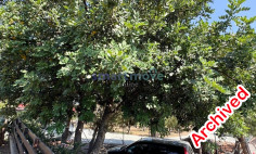 3 bedroom bungalow sea views for rent Pareklissia Limassol 