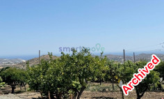 3 bedroom bungalow sea views for rent Pareklissia Limassol 