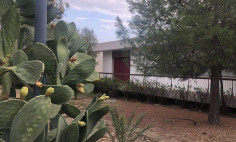 5 beds house for sale in Latsia