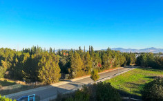 2 apartment to rent in Strovolos