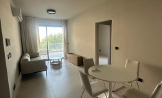 1 bedrooms apartment to rent in Palouriotissa 1 bedrooms apartment to rent in Palouriotissa