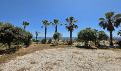 4 bedrooms house to rent in Agia Thekla