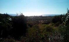 Land for sale in Coral Bay, Paphos