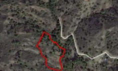 Large land for sale in Kato Platres, Limassol, Limassol
