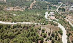 Plot 53 in Kornos , Larnaca