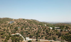 Plot 84 in Kornos , Larnaca