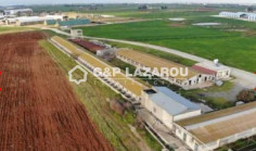 Warehouse for sale in Ormideia
