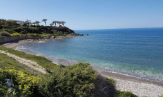 Beautiful 4 bedrooms house with swimming pool for sale in Coral Bay