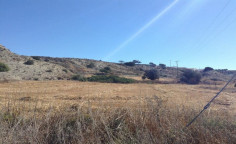 Residential 5017 m2 for sale in Mazotos, Larnaca