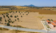 Residential 9636 m2 for sale in Alaminos, Larnaca