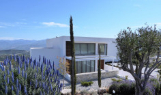 Large 3 bedroom house with swimming pool for sale in Tsada