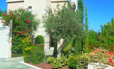 Spacious 4 bedroom villa with swimming pool for sale in Latsi