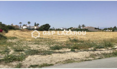 Land 10228 m2 for sale in Perivolia, Larnaca