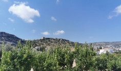 Luxury 4 bedroom house with swimming pool for sale in Peyia
