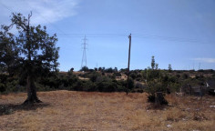 Lovely commercial for sale in Ypsonas