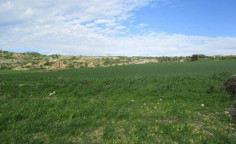 Large residential 10640 m2 for sale in Pyla, Larnaca