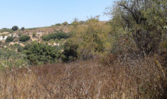 Spacious residential for sale in Peristerona, Paphos