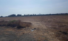 (agricultural) in Zygi, Larnaca for sale , Larnaca (agricultural) in Zygi, Larnaca for sale , Larnaca