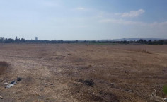 (agricultural) in Zygi, Larnaca for sale , Larnaca (agricultural) in Zygi, Larnaca for sale , Larnaca