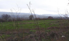 (agricultural) in Agios Dimitrianos, Paphos for sale , Paphos