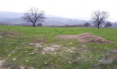 (agricultural) in Agios Dimitrianos, Paphos for sale , Paphos