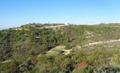 Land 12374 m2 for sale in Asgata, Limassol