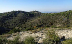 Land 12374 m2 for sale in Asgata, Limassol