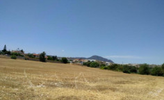 Residential 65177 m2 for sale in Alethriko, Larnaca