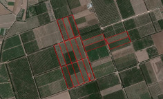 Land for sale in Kolossi, Limassol