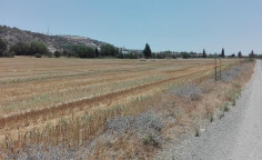 Residential 61560 m2 for sale in Alethriko, Larnaca